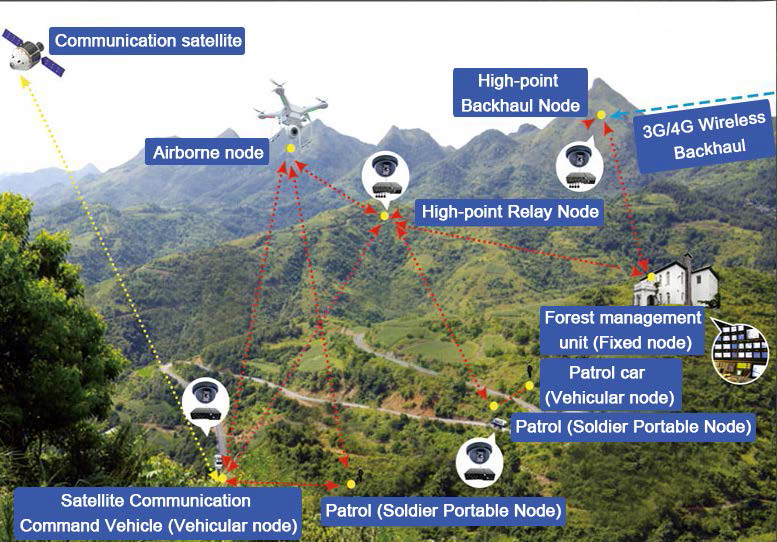 Wireless Monitoring Guarantee In Forest Areas(图1)